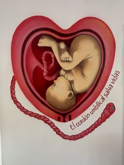 cordon umbilical salva vidas